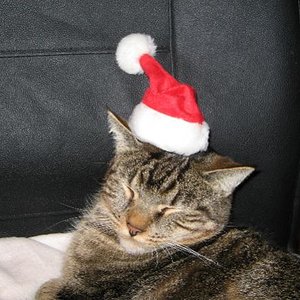 *sing* Wir wünschen frohe Weihnacht...