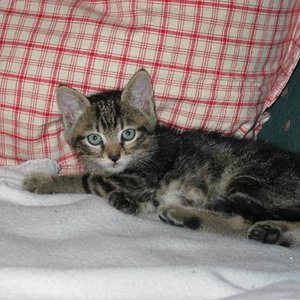 Bin ich nicht süß?