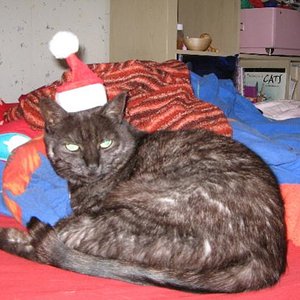 Frohe Weihnachten oder so ähnlich