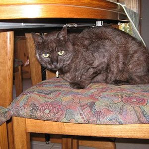 Wenn ich bös genug gucke, vielleicht geht sie dann!