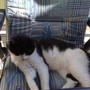 Das ist Tinky.......