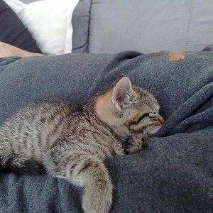 Das ist Sparky bei seiner lieblings Beschäftigung *g