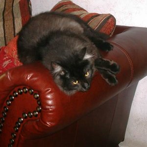 Don - *22. März 2004