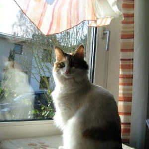 Kati(nka) *15. April 2005