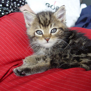 So kam er zu uns...klein und unschuldig