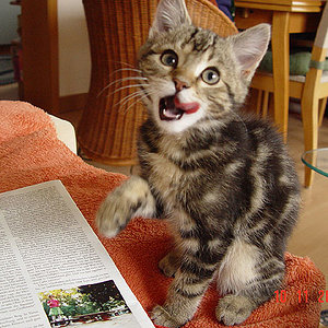 Lucard ca 3 Mon., klein und wild und hat uns immer zum Lachen gebracht