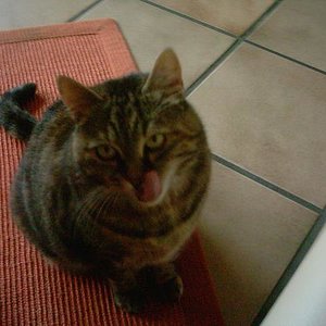 Hmmmm, das war lecker