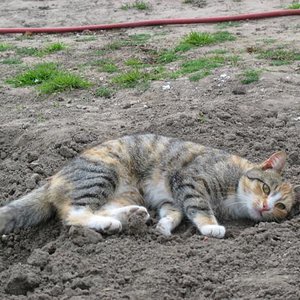 Hohenzieritz 2008 028