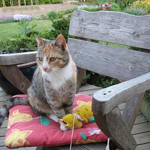 Hohenzieritz 2008 073