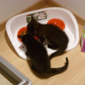 links Sheyla, rechts Tommy