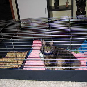 Chico in seinem "Verliess"