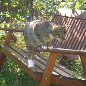 Neugier, Dein Name ist "Finn". Was hat er hier schon wieder Interessantes entdeckt?