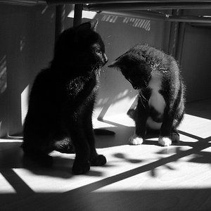 links Sheyla, rechts der kleine wilde Tommy