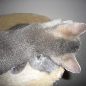 ...egal was kommt ;o)