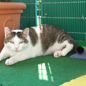 ich komme, gibt es Futter