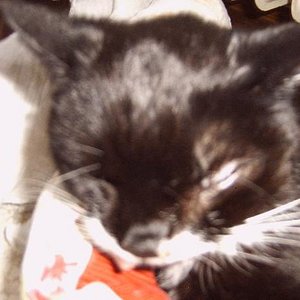 von Krankheit gezeichnet