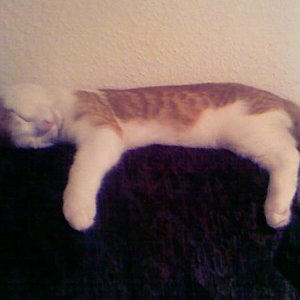 ich hab das sofa sooo lieb :D