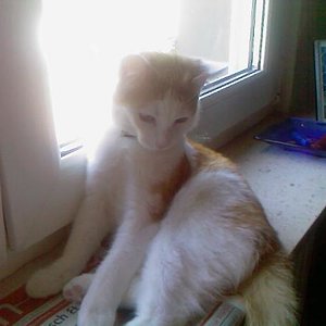 hmm, was kann ich denn jetzt wieder anstellen??