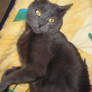 Nee nee nee ich wars nicht !