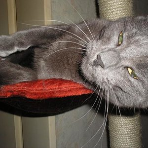 Mann bin ich cool ich halts nicht aus *lach*