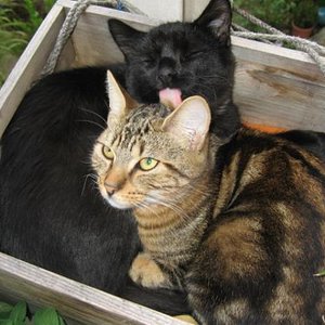 IMG 3038
auf dem balkon ist es doch am schönsten