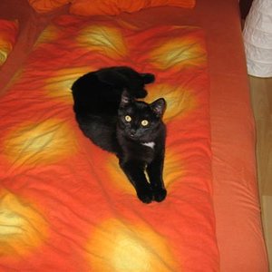 na bin ich nicht ein toller