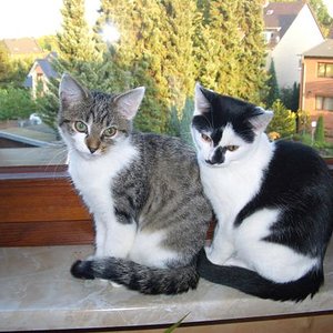 kurz nachdem die beiden einzogen....