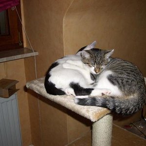 beide einfach total k.o.