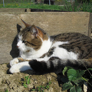 Bella
geb. ca. 2001