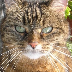 Boah ey seh ich heute wieder gut aus !