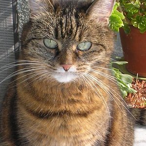 Ja ja ja ich seh gut aus, ich weiß !