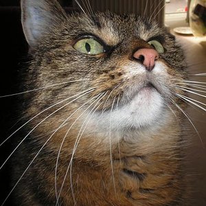 WIE es gibt kein Futter mehr !?!