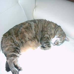 ich bin soooooooooo müde