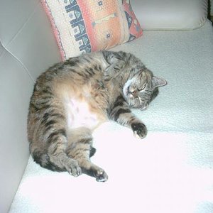 ach ist das kuschelig