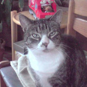 bin ich nicht schön?? (K.C.)