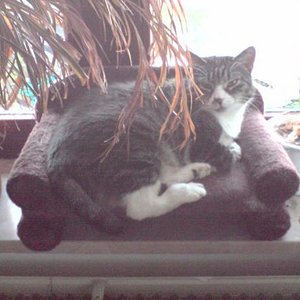 und ich passe hier drauf (K.C.)