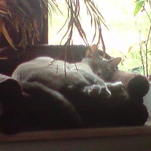 ich passe besser auf das Sofa (Agent J)