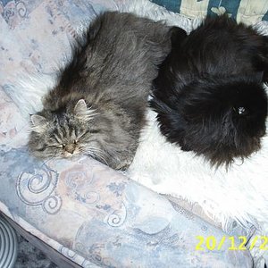 Sind sie nicht süssss