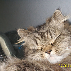 rechts unten sind meine Finger :-)