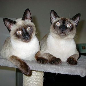 wir haben nix gemacht (links Josy, rechts Jamie)