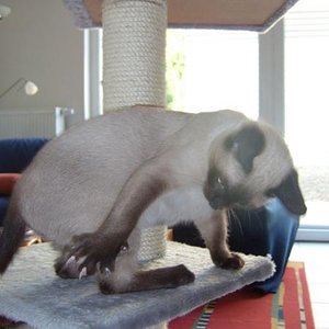 leg Dich nicht mit mir an *grrr*