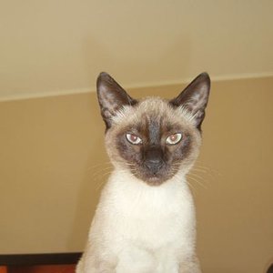 noch ein Bild und Du bist tot :-)