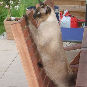 ist der blöde Hund weg? der "Schisser" Jamie.... :-)