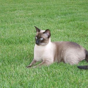 unsere süße Knutschkugel Jamie