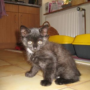 IMG 2758
tja was aus mir wohl mal wird???