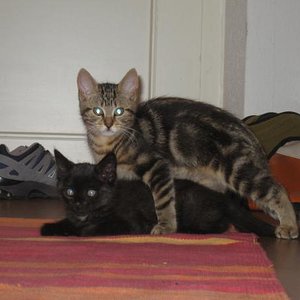 IMG 2737 
wer ist hier der chef???