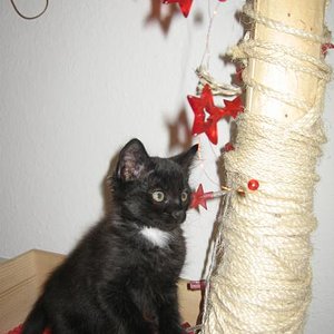 IMG 2778
da hab ich auch noch in das kleine körbchen gepasst