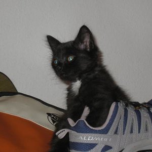 IMG 2767
vielleicht mag ich ja auch mal joggen gehn?