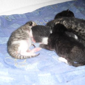 meine kleine 3tage alt