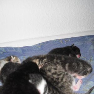 meine baby 3tage alt